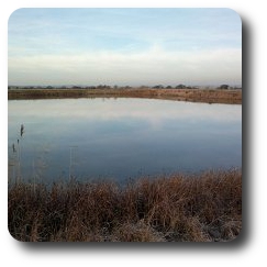 Fishing in our Trout Reservoir